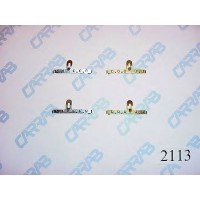 Fastening elements for front brake pads 2113