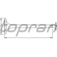 Intake valve 201 268
