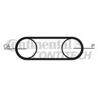 Distribution belt CT541