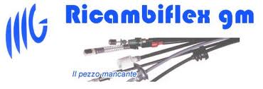 Ricambiflex